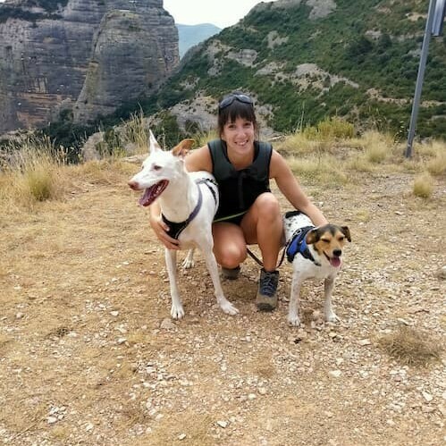 psicologa Zaragoza psicóloga con animales en Zaragoza